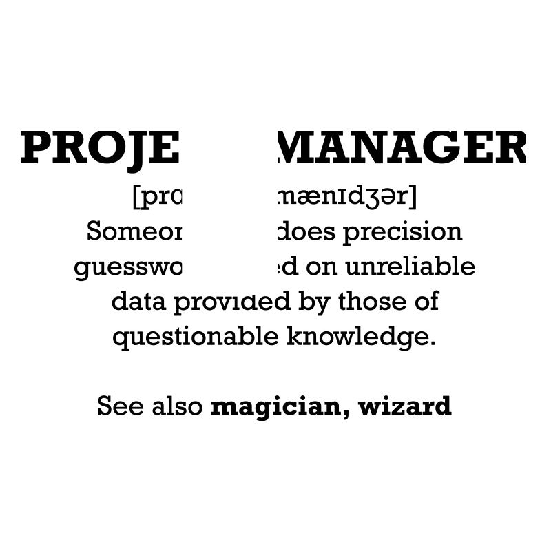 Chef de projet - assistant