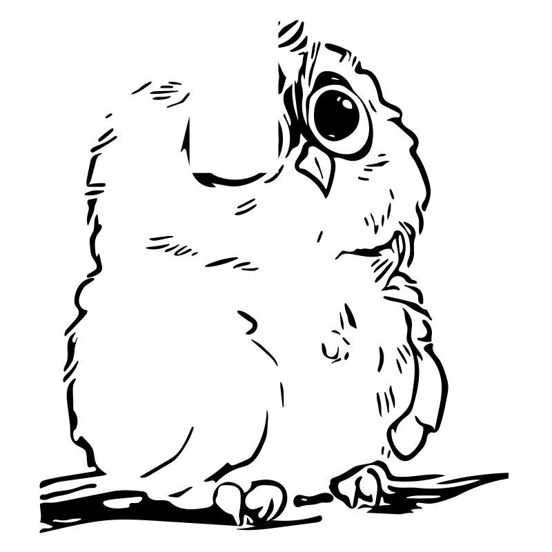 Chouette mignon