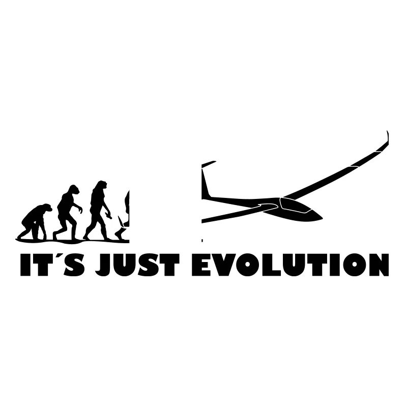 Evolution Segelflugzeug