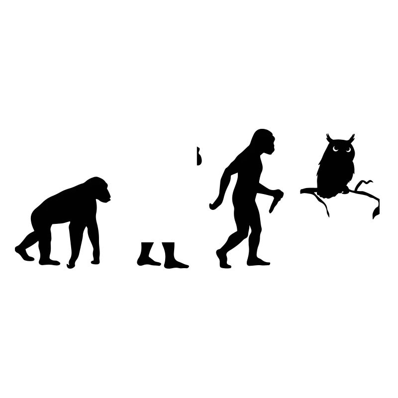 Owl Evolution