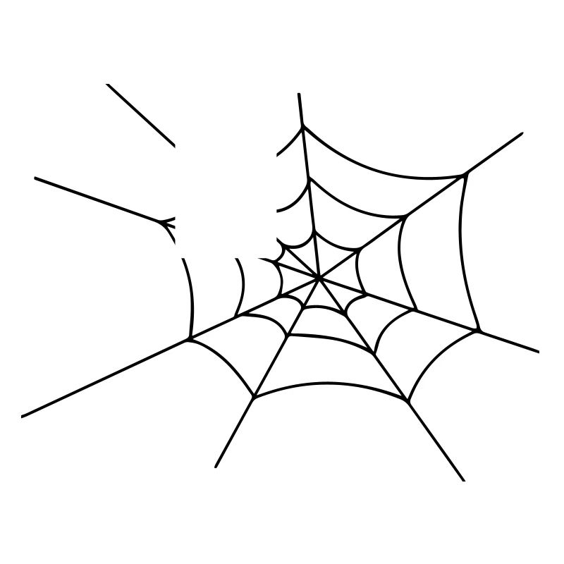 spider_web