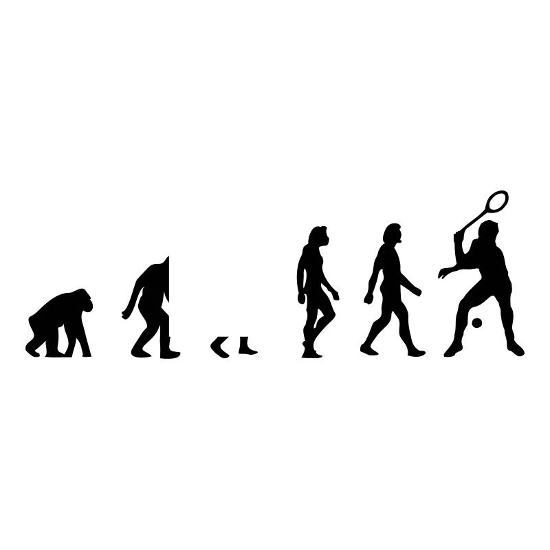 L évolution de squash