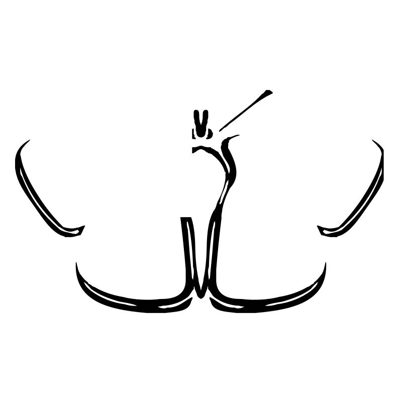 butterfly butterfly