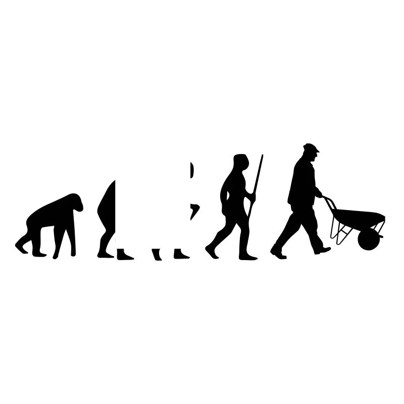 Evolution15 1c