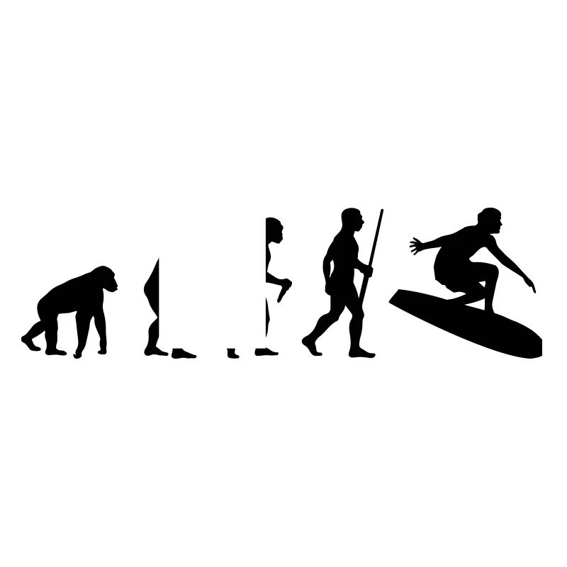 Évolution des surfeurs