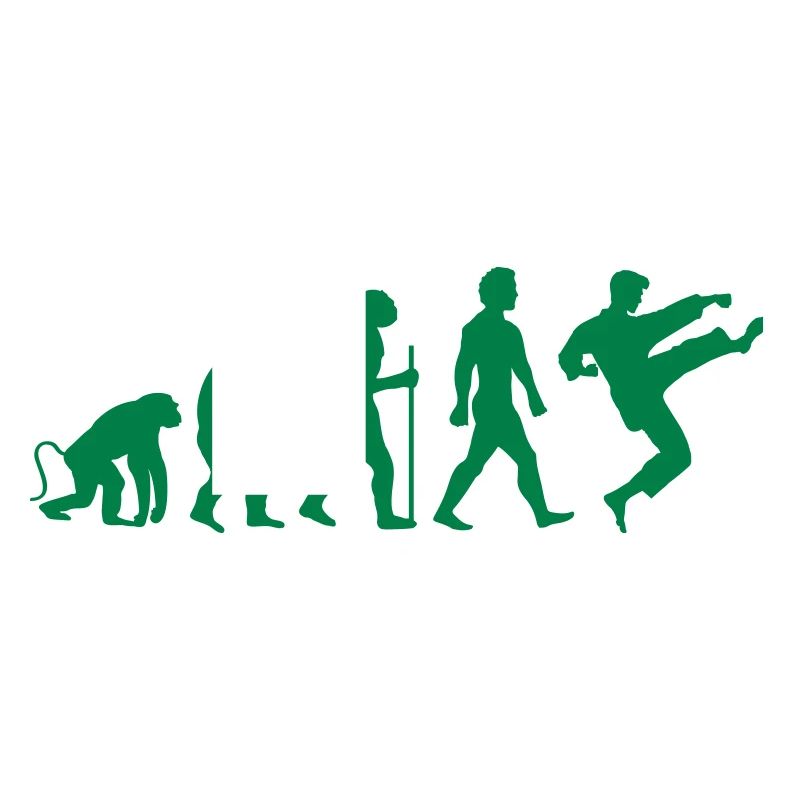 Karaté Évolution