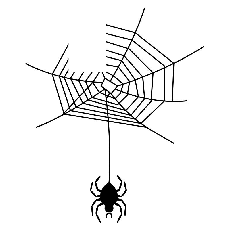 spinnennetz