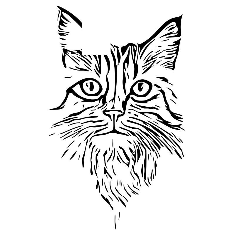 Cat - vector