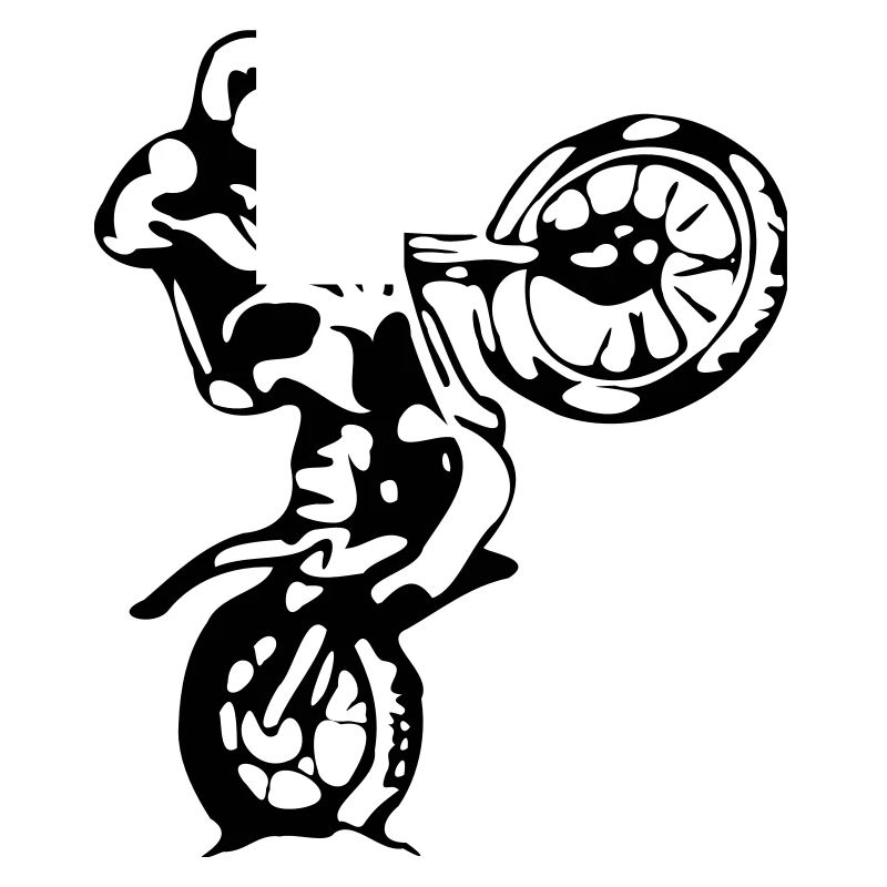 Trialfahrer