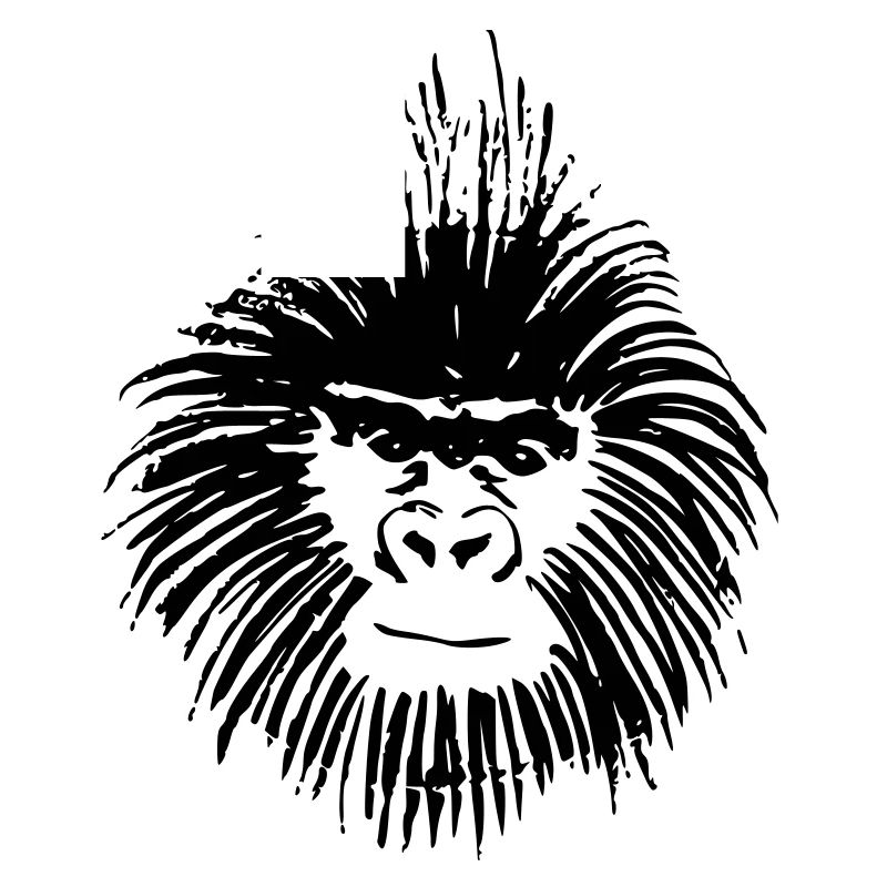 monkey