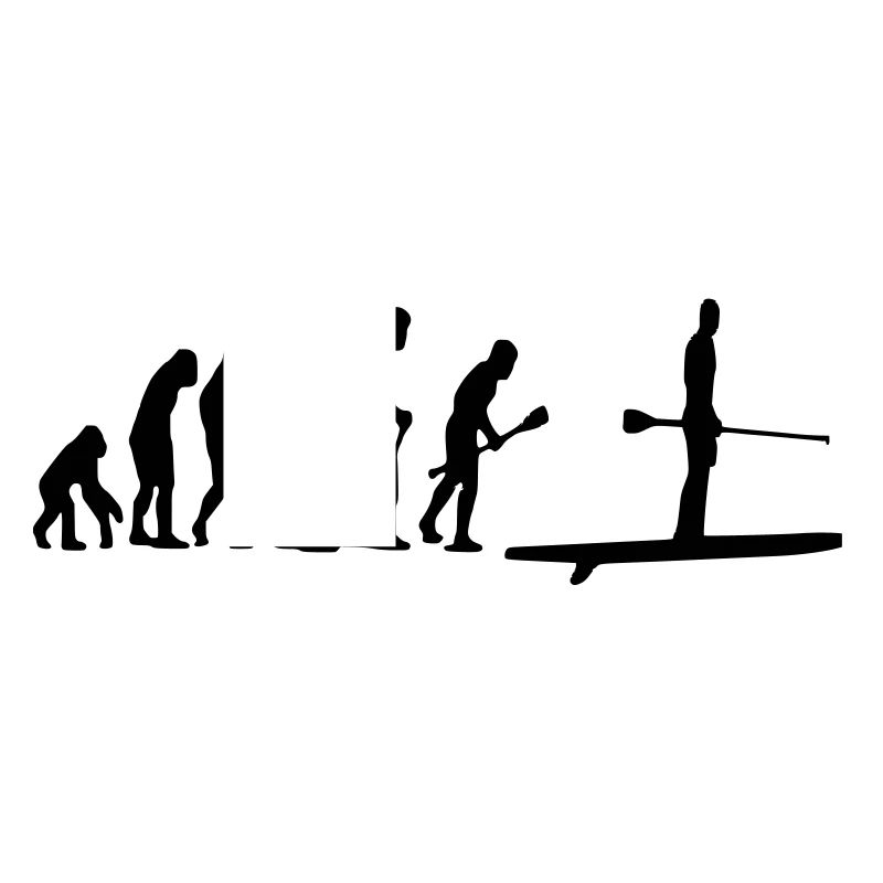 Paddle Evolution