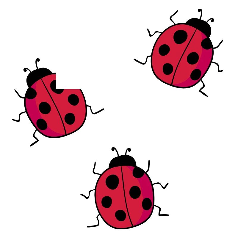 ladybug