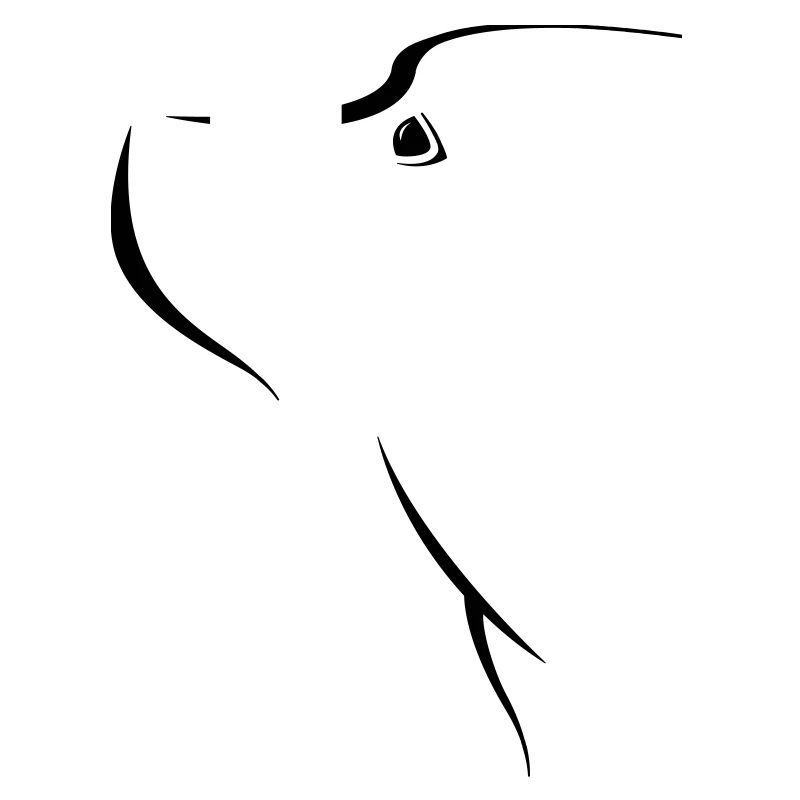 visage de chien