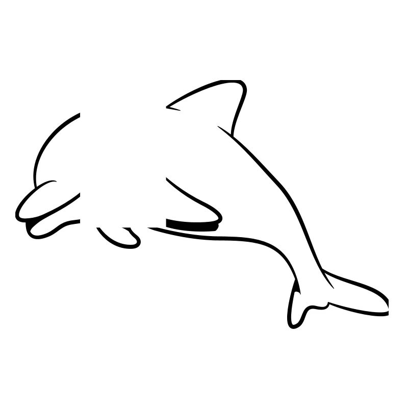 delfin douce mer
