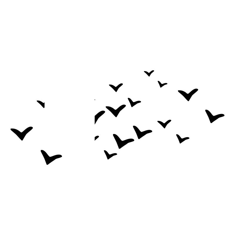 Birds - Bird