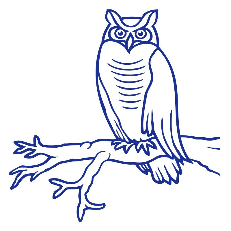 Eule Vogel Uhu Ast Baum Wald Schleiereule Kauz süß