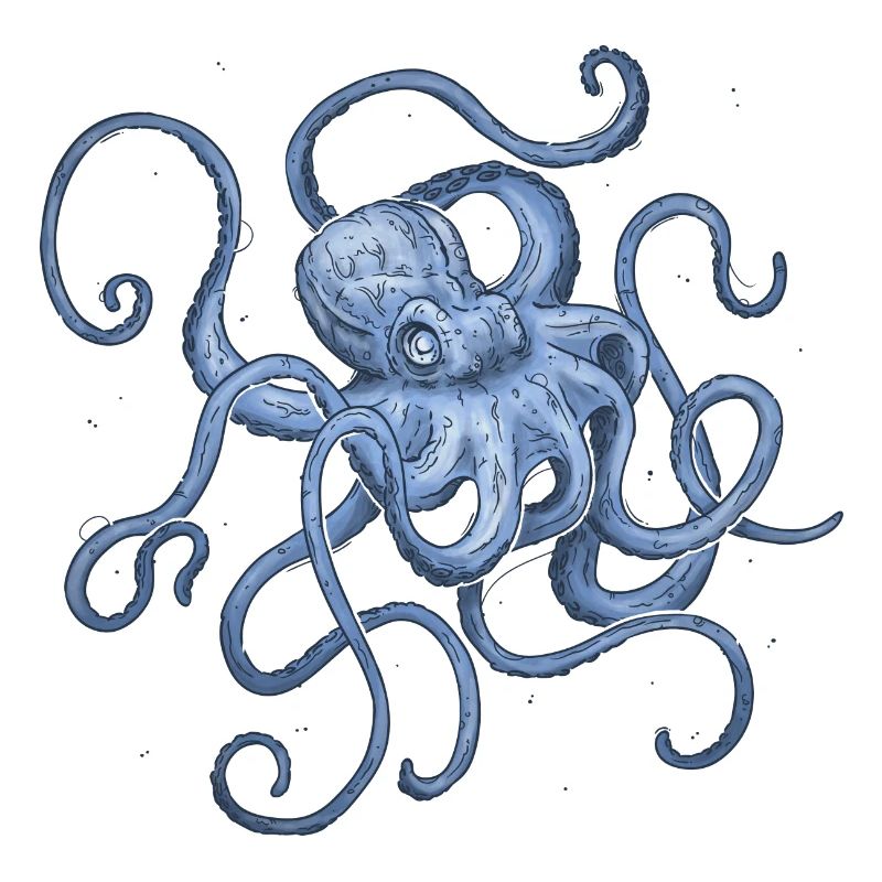 Octopus