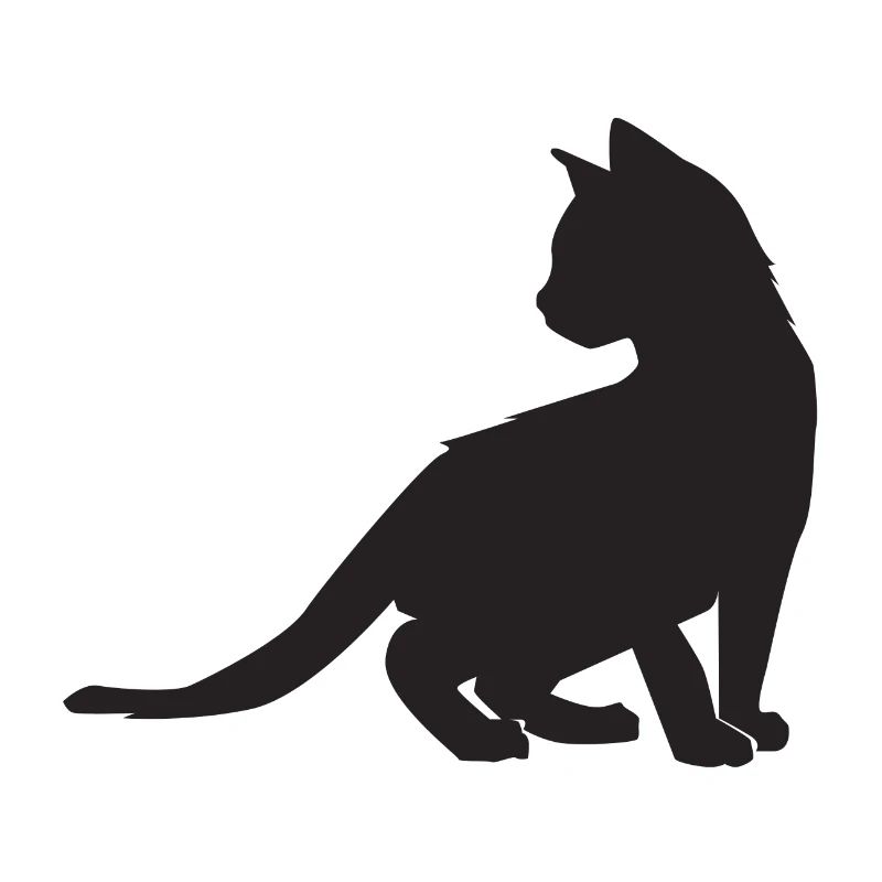 Conception de chaton