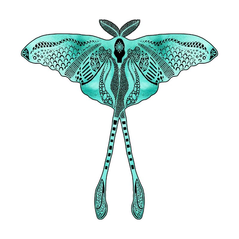 Papillon de lune chinois - Luna Moon Moth
