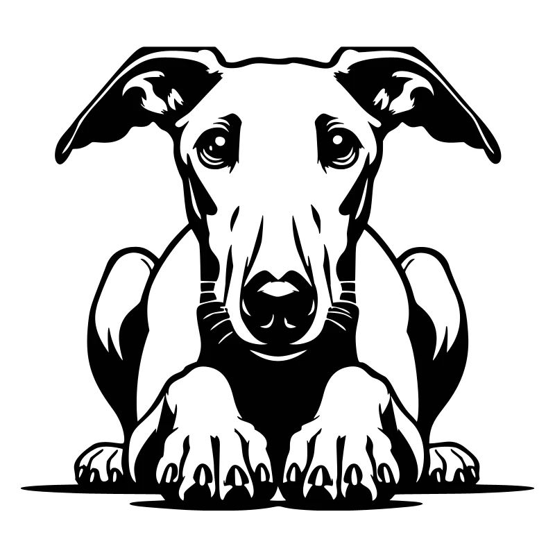 Tête de whippet avec pattes