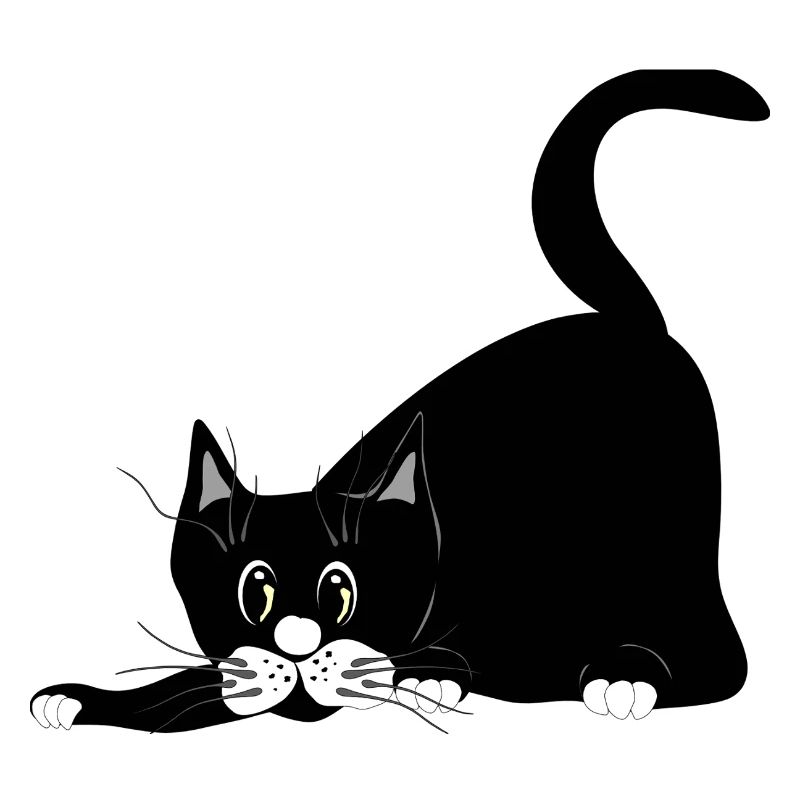 chat