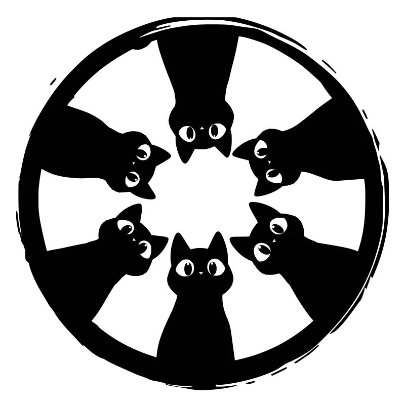 Cats circle view from above