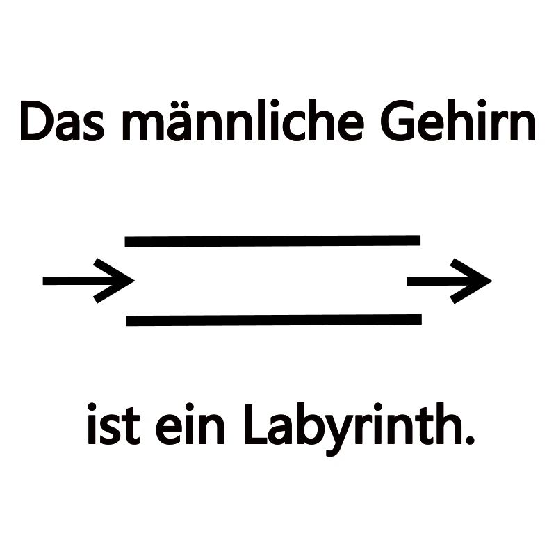 Labyrinth maennlich