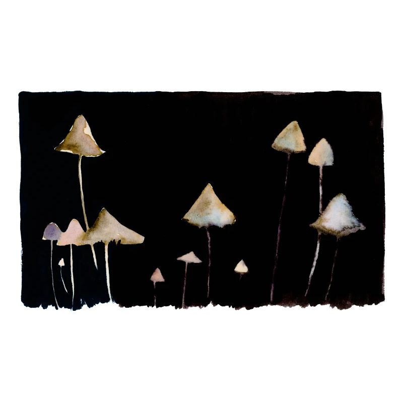 Champignons