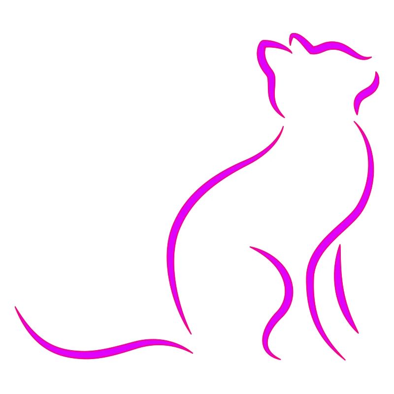 chat