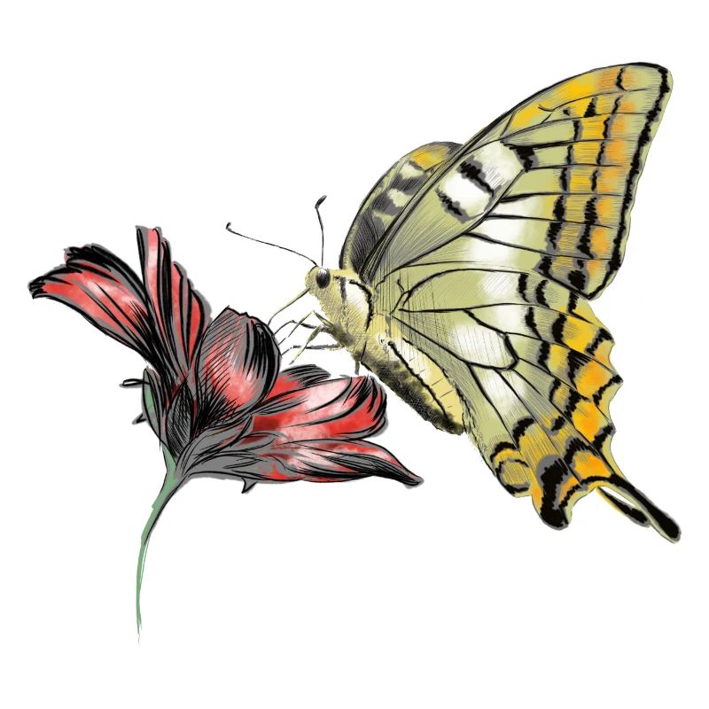 Papillon en fleurs