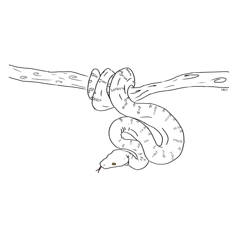Snake (b&w)