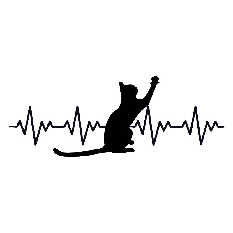 Katze EKG Herzfrequenz Herzschlag