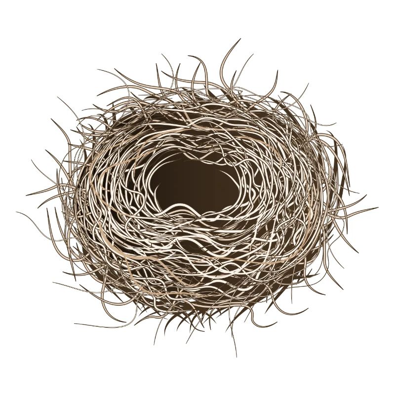 empty bird's nest or easter basket for spring