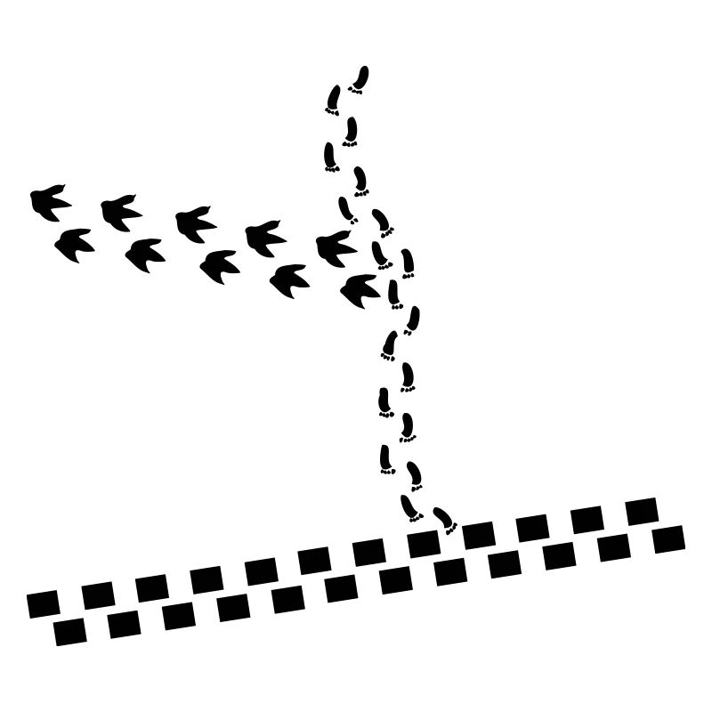 Traces