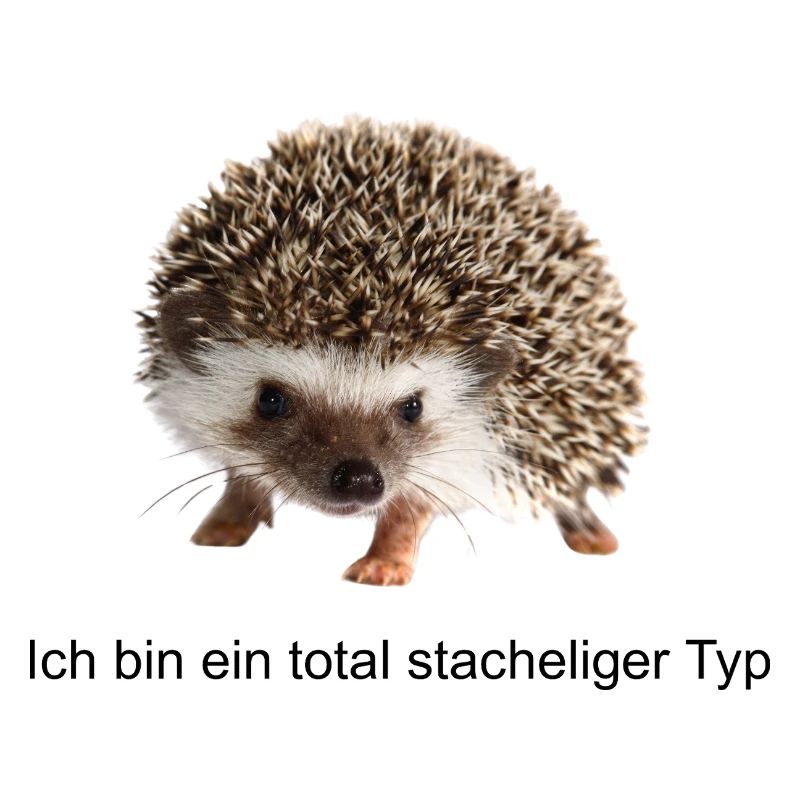 Stacheligen Typ