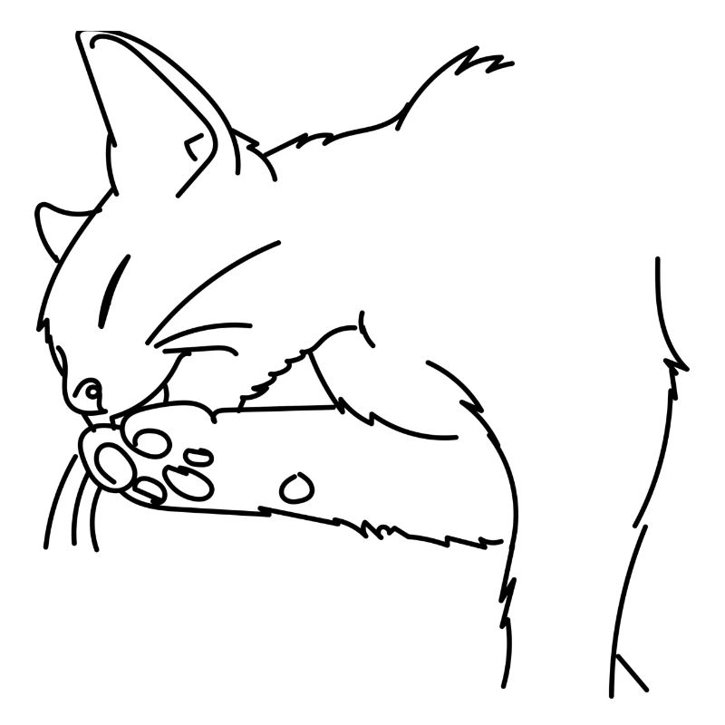 Chat