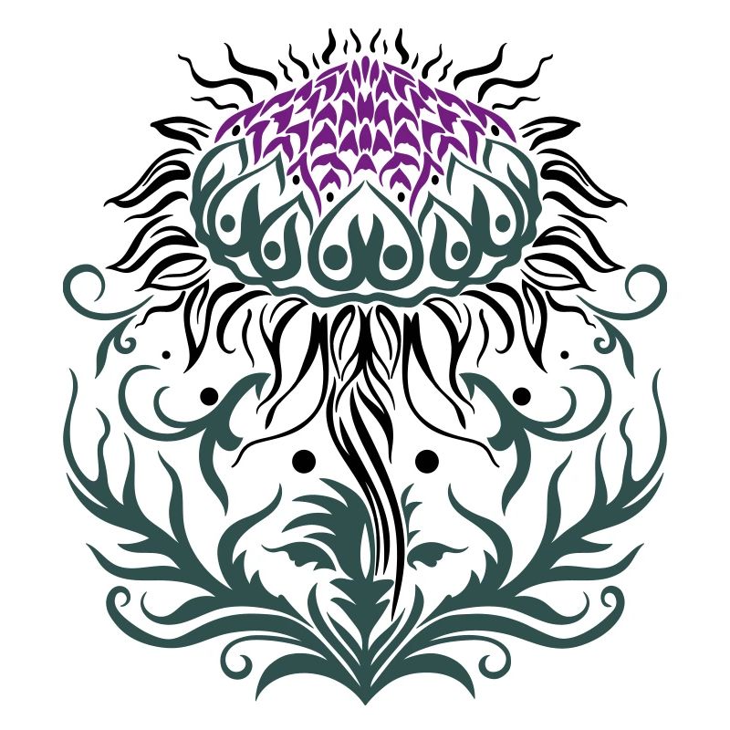 Chardon pourpre Chardon