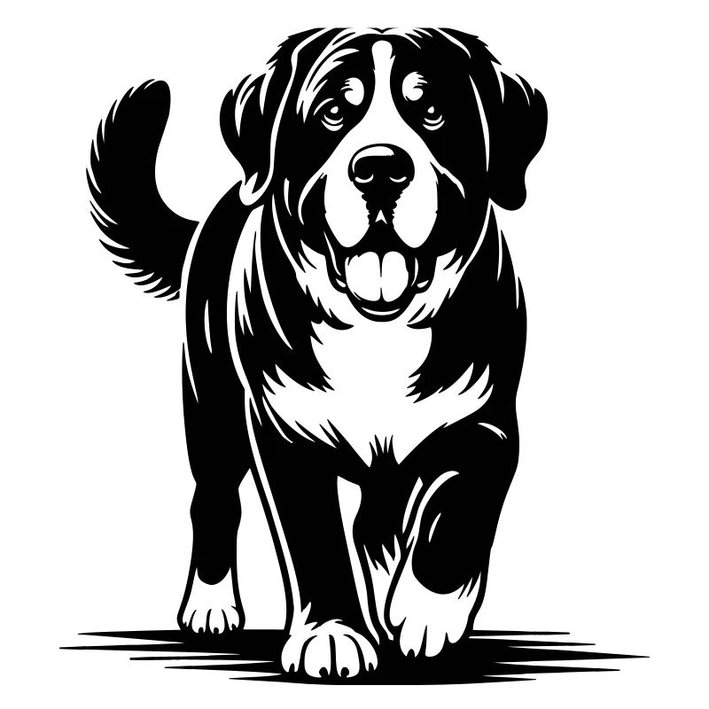 Großer Schweizer Sennenhund