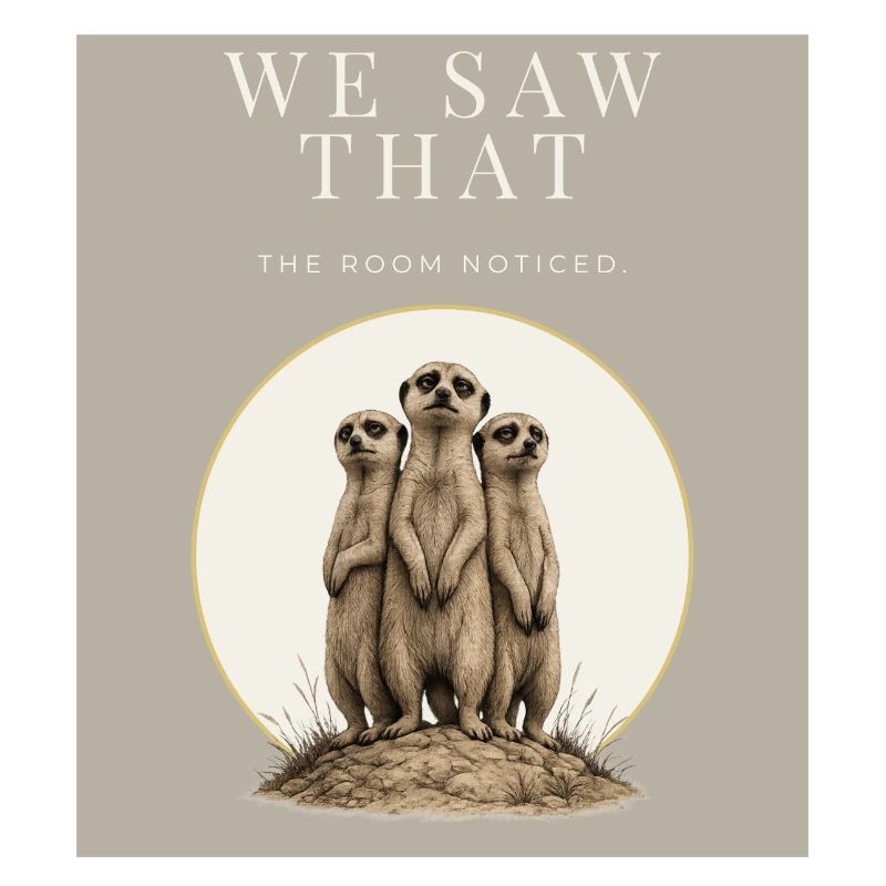 On a vu ce trio de suricates