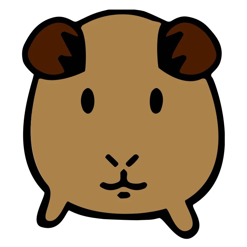guinea pig