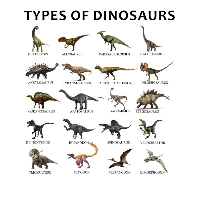 Types of Dinosaurs