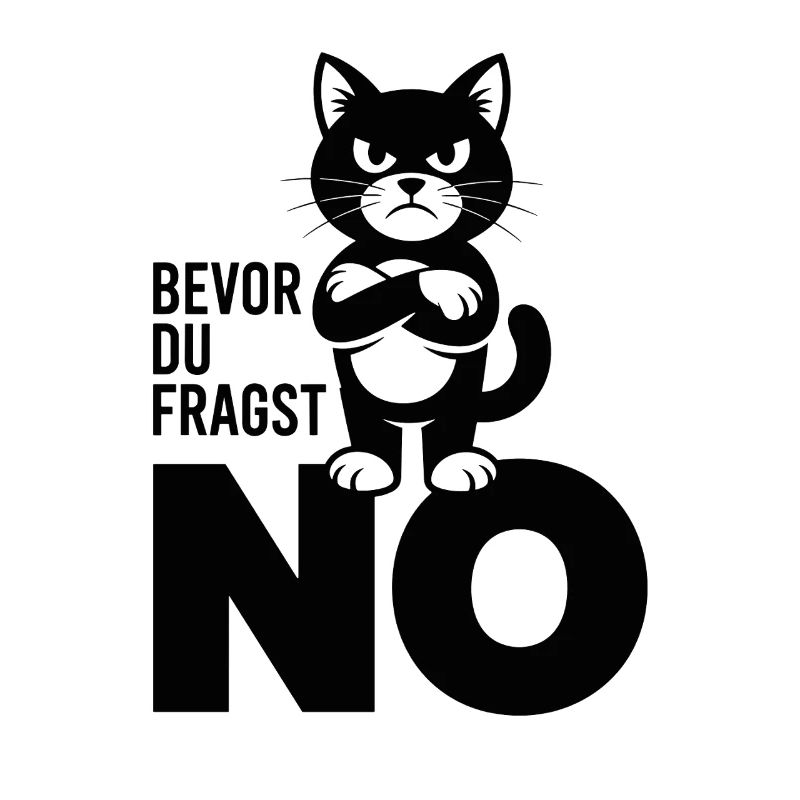  Bevor Du Fragst No Lustige Grumpy Katze