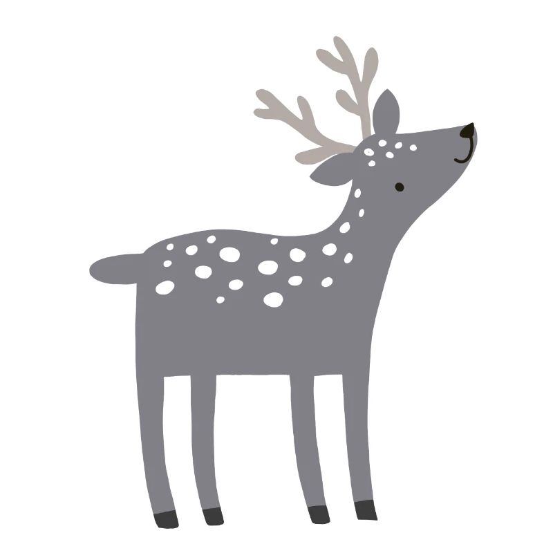 Reindeer Deer