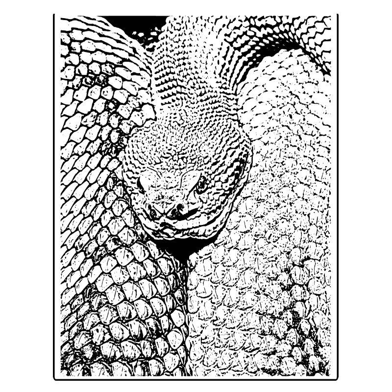 Reptilian elegance.