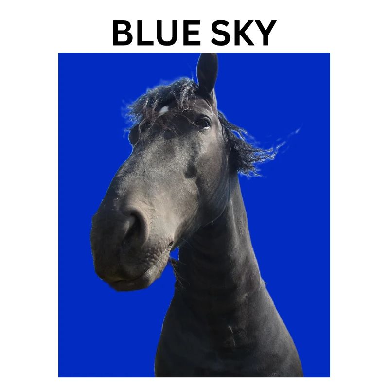 Blauer Himmel und Pferd