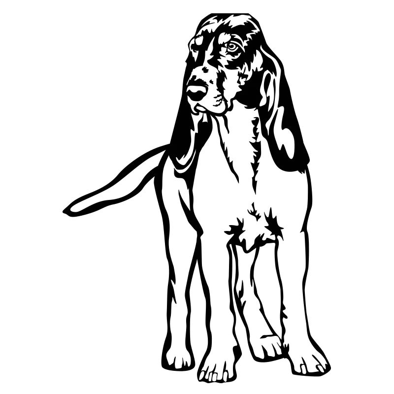 Chien de course bernois