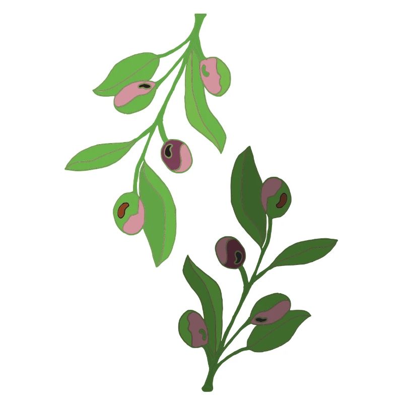 olive branches green pink