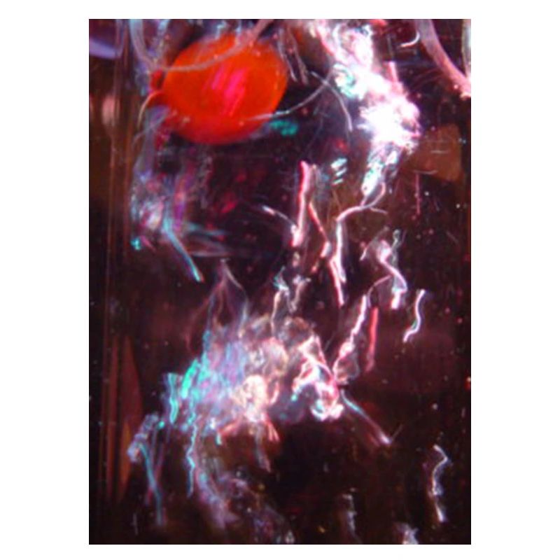 Neon Fluid Reflection