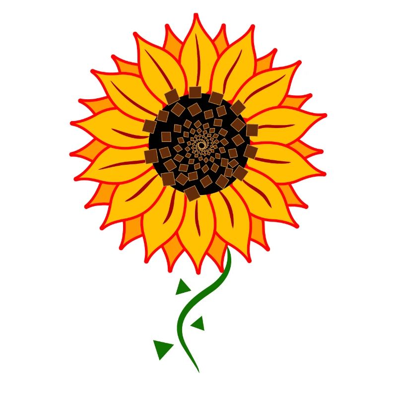 Sonnenblume