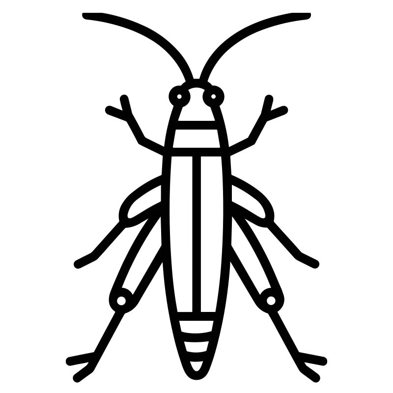 grasshopper